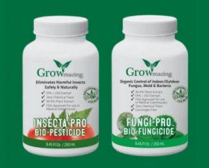 FREE Sample of GROWmazing Insecta-Pro & Fungi-Pro